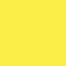 Spectra 107" X 33ft  Aspen Color Seamless Backdrop Paper