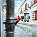 Flixible Phone & Camera Tripod - Table top Tripod By Vista