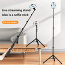 Vista WT8022 Phone Tripod floor Stand with tilting bracket