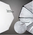 Octagon Softbox Photography lighting kit of 2 - with Led Bulbs