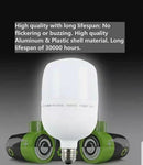 Vista 3 Point Softbox Lighting Kit 3 Led Bulbs with Boom Arm and Case