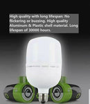 Octagon Softbox Photography lighting kit of 2 - with Led Bulbs