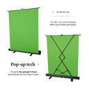 Vista Portable Collapsible Green Screen Roll Up Backdrop 59"X 79" (100X200CM)