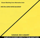 Spectra 107" X 33ft  Aspen Color Seamless Backdrop Paper