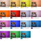 Godox SA-11C Color Effects Gels Set