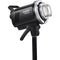 Godox MS300-V Studio Flash Monolight (Complette 2-Strobe Light Kit)