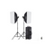 Godox MS300-V Studio Flash Monolight (Complette 2-Strobe Light Kit)