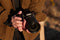 Panasonic Lumix S1 IIE Full Frame Mirrorless Camera- DC-S1M2ES