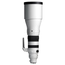 Sigma 300-600mm F4 DG OS | Sports - Sony E-Mount