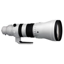 Sigma 300-600mm F4 DG OS | Sports - Sony E-Mount