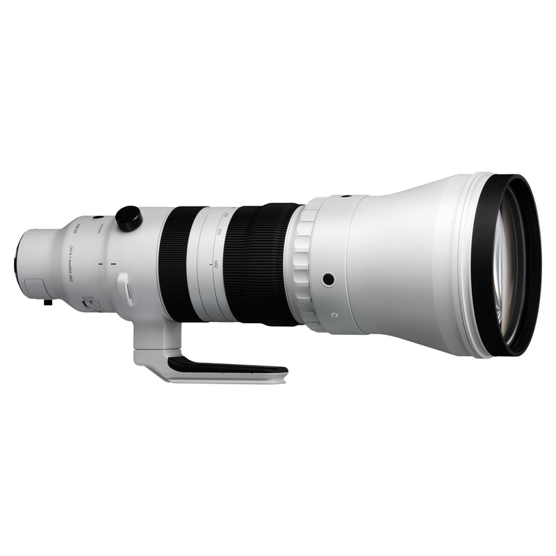 Sigma 300-600mm F4 DG OS | Sports - Sony E-Mount
