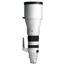 Sigma 300-600mm F4 DG OS | Sports - Sony E-Mount