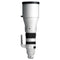 Sigma 300-600mm F4 DG OS | Sports - Sony E-Mount