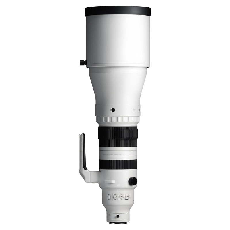 Sigma 300-600mm F4 DG OS | Sports - Sony E-Mount