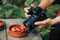Nikon NIKKOR Z DX 16-50mm f/2.8 VR Lens