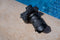 Tamron 17-28mm F/2.8 Di III RXD Sony Lens for Sony E mount