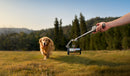 Outdoor lifestyle view of a creator using the built-in extension rod on the DJI Osmo Mobile 8P to get low-angle action tracking of a dog running, from Best Camera Store.