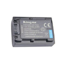 Technical specification values on the back label of the KingMa NP-FV50 camcorder battery