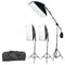 Vista 3 Point Softbox Lighting Kit Led Bulbs with Boom Arm and Case