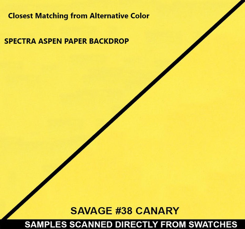 Spectra 107" X 33ft  Aspen Color Seamless Backdrop Paper